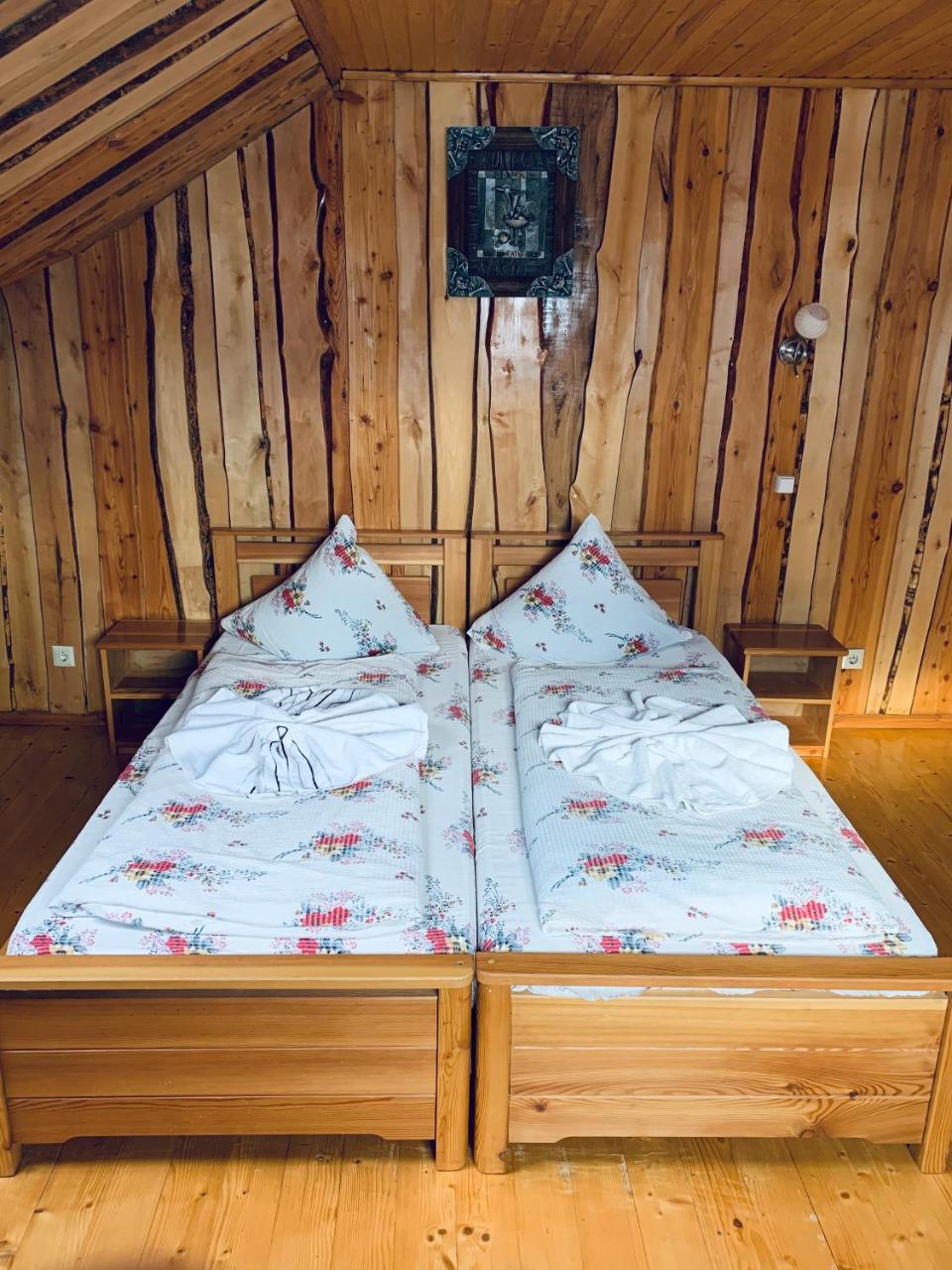 Arnica Hotel Ясиня Екстериор снимка